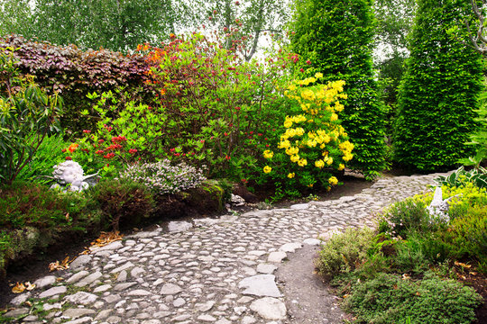 Fresh colorful garden