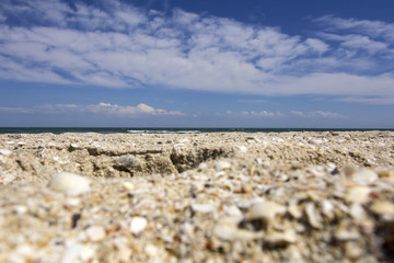 Beautiful sea summer or spring