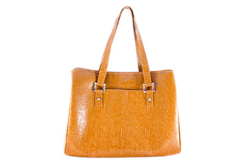 Naklejka premium Lady bag