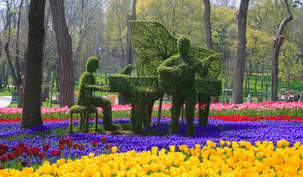 Music on Flowers Concept in Emirgan Wood,Istanbul