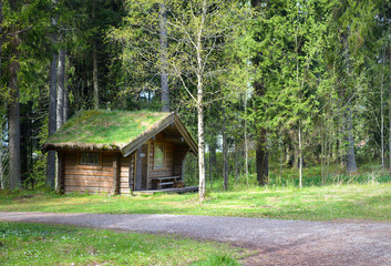 Stary domek w lesie