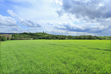 Spring Landscape in Bohemian Paradise, Czech Republic