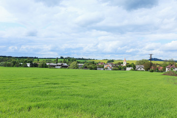 Fototapeta na wymiar Spring Landscape in Bohemian Paradise, Czech Republic