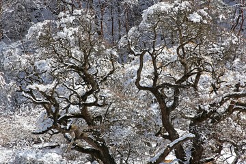 The image of travel destinations in China,Asia