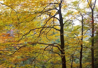 Fototapeta premium The image of travel destinations in China,Asia