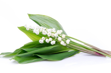 Obraz premium Bouquet of lilies