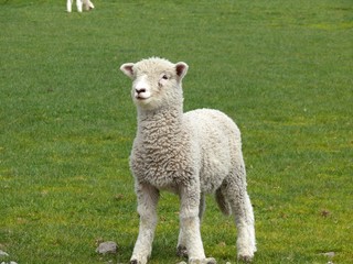 Obraz premium The image of travel destination