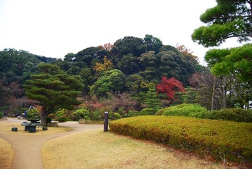 The image of beautiful nature