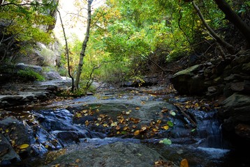 The image of landscape