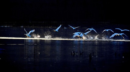 The image of beautiful nature in China, Asia