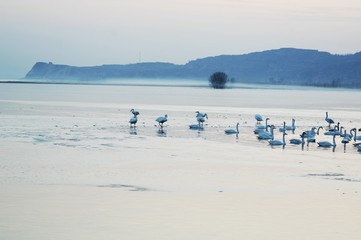 The image of beautiful nature in China, Asia