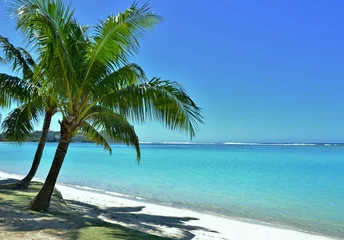 Abwaschbare Fototapete Palmen und der Strand © michaelfitz