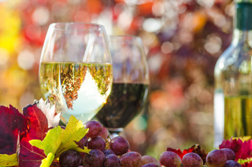 Goldener Herbst: Weinprobe :)