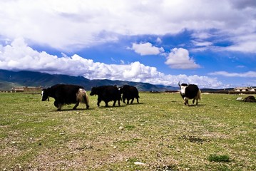 The image of travel destinations