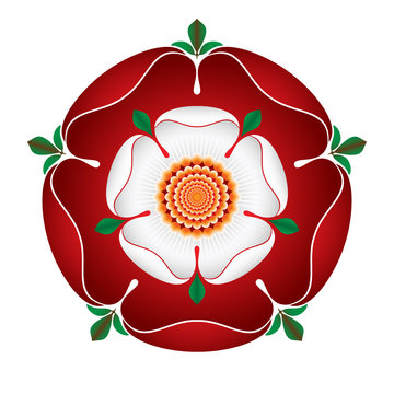 Tudor Dynasty Rose – vector shaded illustration – English Symbol