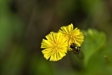 The image of beautiful nature in Asia