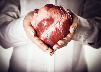 heart in hands