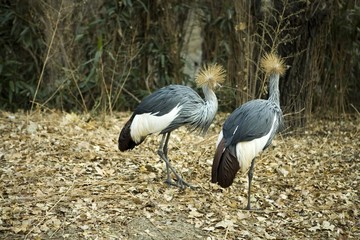The image of Beijing, Asia