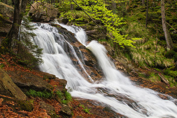 cascade on the river