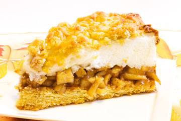 Homemade apple pie .