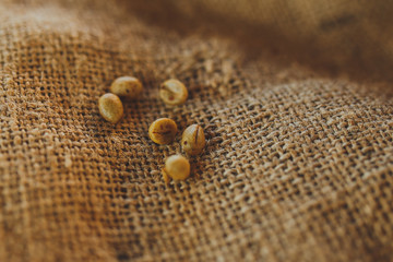 coffee beans, close-up