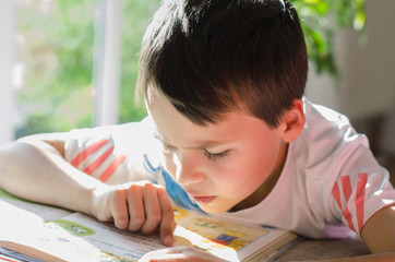 Junge liest ein Buch - obrazy, fototapety, plakaty