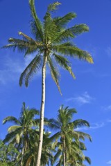 Obraz premium The image of travel destinations in Philliphines