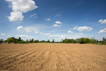 Fototapeta na wymiar prepare plantation with blue sky