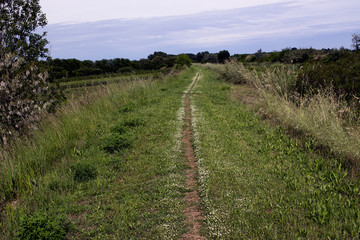 Fototapeta na wymiar Walking road in the countryside