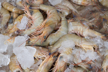 Frozen seafood