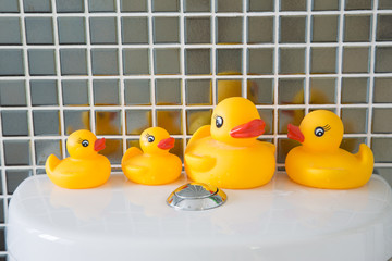 Rubber ducks