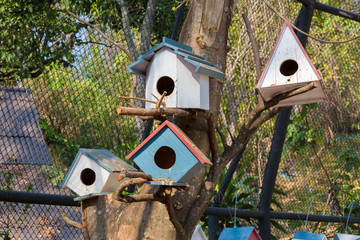 Bird house