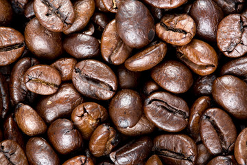 Coffee bean texture