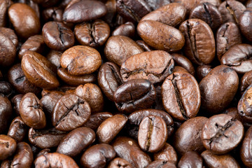 Coffee bean texture