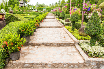 beautiful walkway in the garden