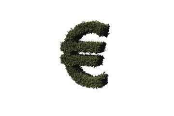 Euro sign made of leaves