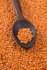 Orange lentils in red polished wooden spoon