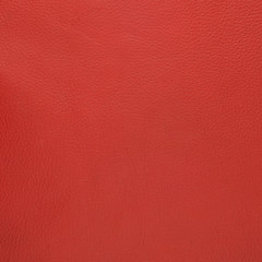 Fototapeta premium Red leather