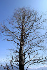 The image of city in Asia