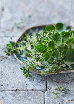 Organic Thyme and Oregano on a Plate