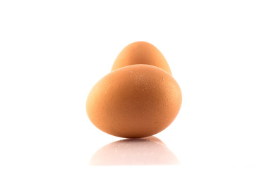 egg