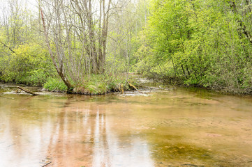 Calm water with springs