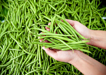 Fagiolini verdi freschi al mercato