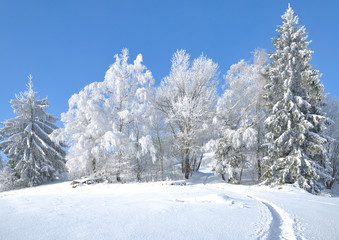 Winter im Bayerischen Wald mit Wanderpfad