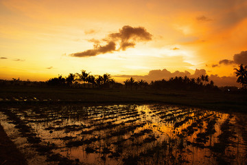 The image of beautiful nature in Asia