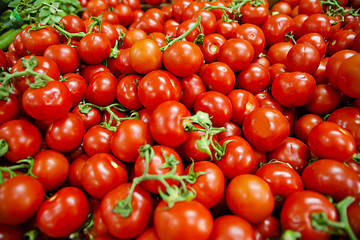 Pomodori freschi italiani al mercato ortofrutticolo