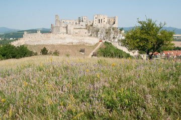Beckov Castle