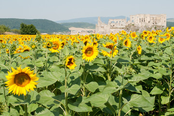 Beckov Castle