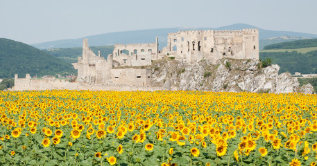 Beckov Castle