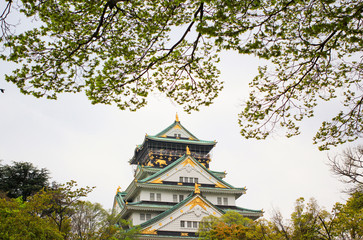 Fototapeta premium Osaka castle, Japan
